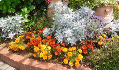 植栽・花壇・照明